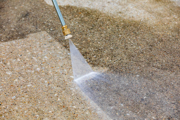Best Animal Enclosure Cleaning  in Greencastle, PA